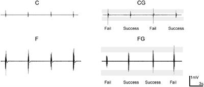 Determinants of Neural Plastic Changes Induced by Motor Practice